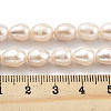 Natural Cultured Freshwater Pearl Beads Strands PEAR-P062-18-5