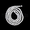 Natural Rainbow Moonstone Beads Strands G-RM250101-B20-5