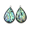 304 Stainless Steel Pave Natural Paua Shell Pendants STAS-Z125-01F-P-1