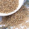 MIYUKI Round Rocailles Beads SEED-X0054-RR1004-4