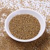 MIYUKI Delica Beads SEED-X0054-DB2043-2