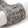 Natural Labradorite Beads Strands X-G-G140-D02-02-1