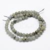 Natural Labradorite Beads Strands G-P322-29-6mm-2