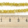 Natural White Shell Dyed Beads Strands BSHE-Z005-03F-4