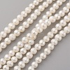 Natural Cultured Freshwater Pearl Beads Strands PEAR-G007-18-1