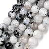 Natural Rainbow Moonstone Beads Strands G-Q1001-A05-04-2