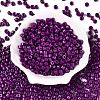 Opaque Baking Paint Glass Seed Beads SEED-T008-02U-2