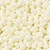 6/0 Glass Seed Beads SEED-M012-01A-10-3