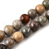 Natural Picture Jasper Beads Strands G-S390-07-8mm-2