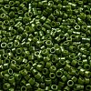 Baking Paint Glass Seed Beads SEED-S042-05A-21-3