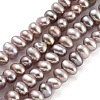 Natural Cultured Freshwater Pearl Beads Strands PEAR-C003-08D-2