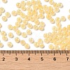 Glass Seed Beads SEED-H002-H-1307-4