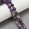 Natural Amethyst Beads Strands G-N342-149G-1
