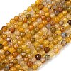 Natural Agate Beads Strands G-H302-A01-14-2