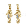 Brass Micro Pave Cubic Zirconia Pendants KK-C093-20G-1