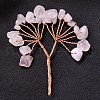 Natural Rose Quartz Chips Tree Decorations PW-WG48902-04-1