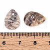 Natural Akoya Shell Pendants SHEL-T020-22-3