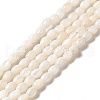 Natural Freshwater Shell Beads Strand BSHE-E026-16B-2