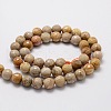 Faceted Round Natural Fossil Coral Bead Strands G-L437-03-8mm-2