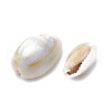 Cowrie Shell Beads SSHEL-T004-05-2