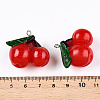 Resin Pendants X-RESI-T028-37-3