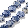 Natural Blue Spot Jasper Beads Strands G-F769-D01-02-1