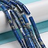 Natural Lapis Lazuli Beads Strands G-C084-B01-01-2