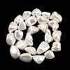 Shell Pearl Beads Strands X1-BSHE-C008-01-5