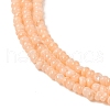 Natural Freshwater Shell Beads Strands SHEL-P017-01A-12-3