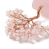 Natural Rose Quartz Tree Display Decoration DJEW-G027-08RG-03-3