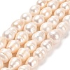 Natural Cultured Freshwater Pearl Beads Strands PEAR-E016-109-1