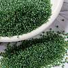 MIYUKI Round Rocailles Beads X-SEED-G009-RR0375-1