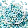 Opaque Acrylic Beads SACR-Q004-01C-2