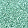 MIYUKI Delica Beads X-SEED-J020-DB1707-3