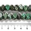 Natural African Turquoise(Jasper) Beads Strands G-N327-05-05-5