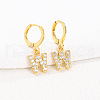 Brass Micro Pave Clear Cubic Zirconia Hoop Earrings FS-WGAF6E5-23-1