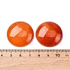 Natural Agate Cabochons G-K348-08B-02-3