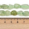 Natural Prehnite Beads Strands G-R445-8x10-25-01-4