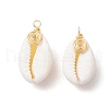 Natural Cowrie Shell Pendants PALLOY-JF03316-05-1