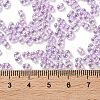 Glass Seed Beads SEED-L011-05B-01-4