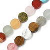 Natural Mixed Stone Flat Round Beads strands G-M454-B01-2