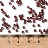 Baking Paint Glass Seed Beads X-SEED-S042-15A-19-4