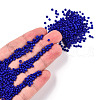 12/0 Opaque Colours Round Glass Seed Beads X-SEED-A010-2mm-48-4