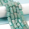 Natural Amazonite Beads Strands G-M403-B28-2