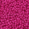 Baking Paint Glass Seed Beads SEED-US0003-3mm-K24-2