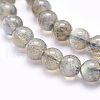 Natural Labradorite Beads Strands G-O166-08-6mm-3