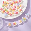 30Pcs Opaque Resin Imitation Food Cabochons RESI-CJ0003-63-5