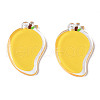 Translucent Acrylic Pendants TACR-N013-013-2