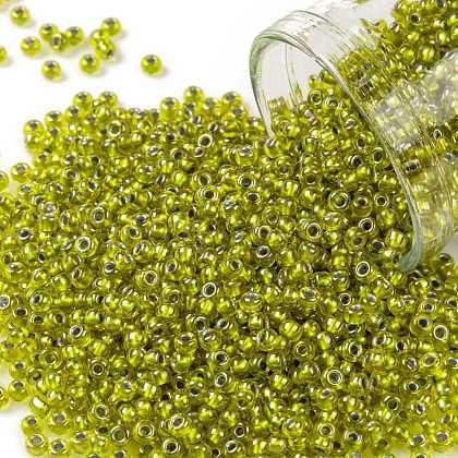 TOHO Round Seed Beads SEED-XTR11-1013-1