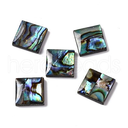 Natural Paua Shell Epoxy Resin Cabochons SSHEL-S279-01H-1
